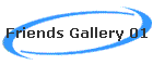 Friends Gallery 01